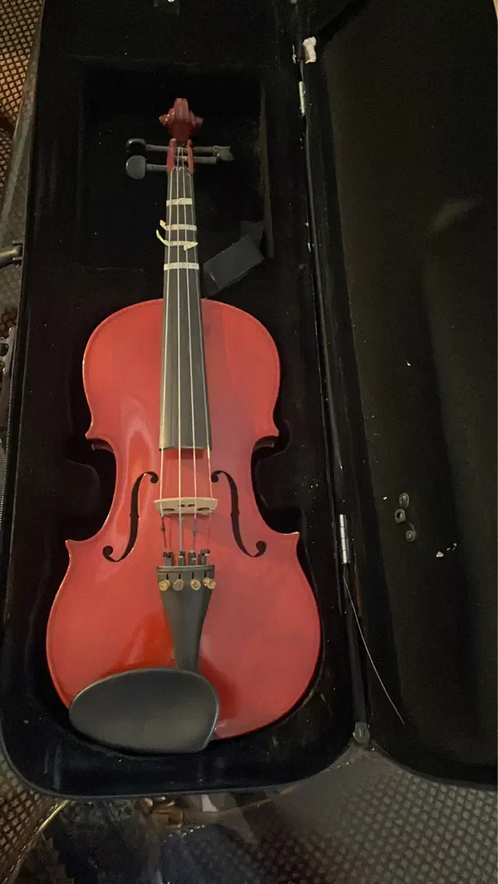 فروش ویالون|ویولن|اصفهان, خانه اصفهان|دیوار