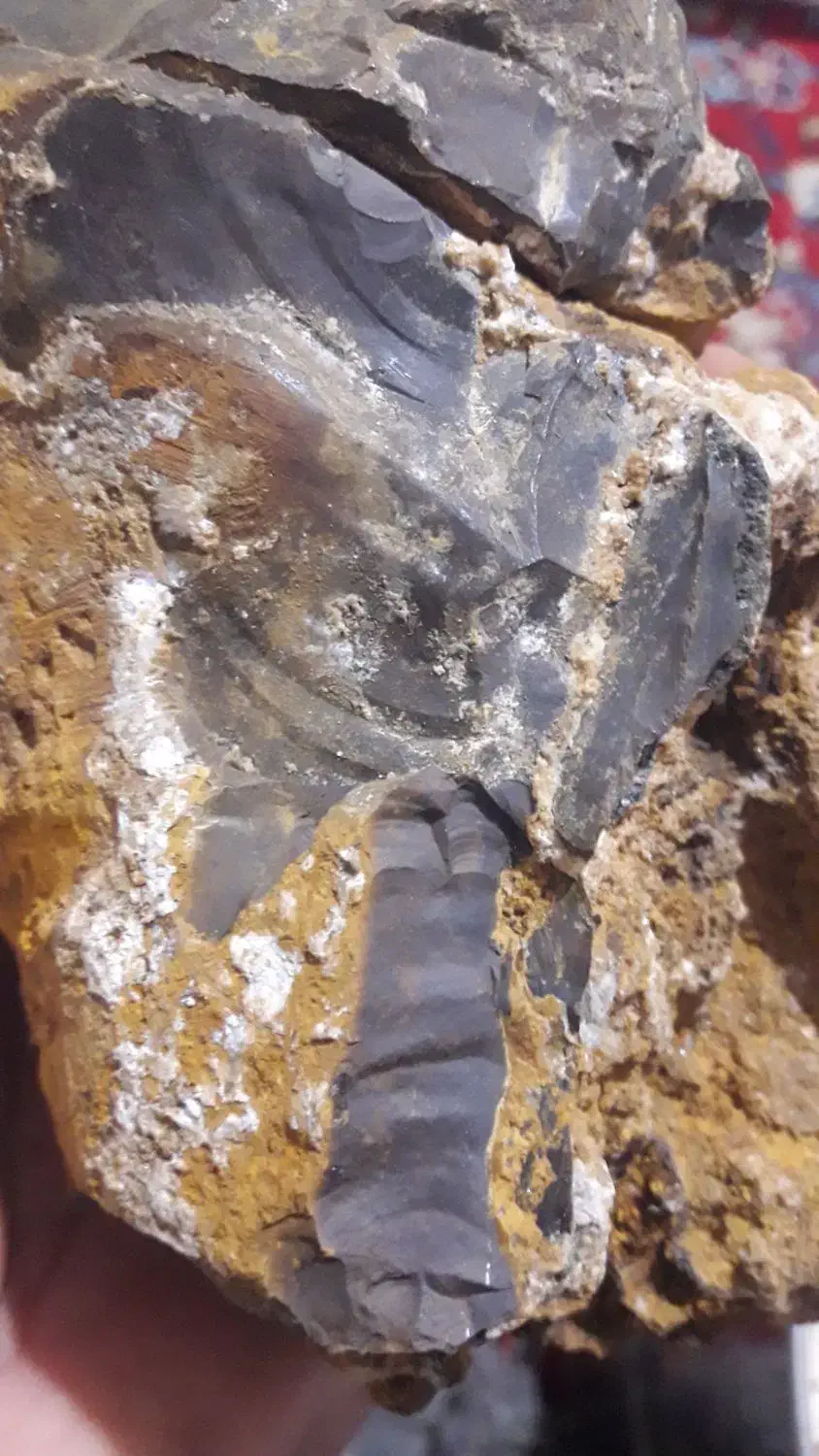 شهاب سنگ|کلکسیون اشیاء عتیقه|ملکآباد, |دیوار