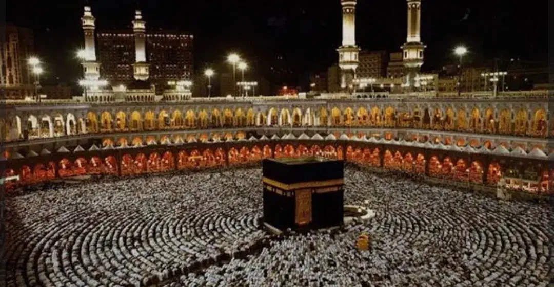 فروش فیش اولویت دار|تور و چارتر|میاندوآب, |دیوار