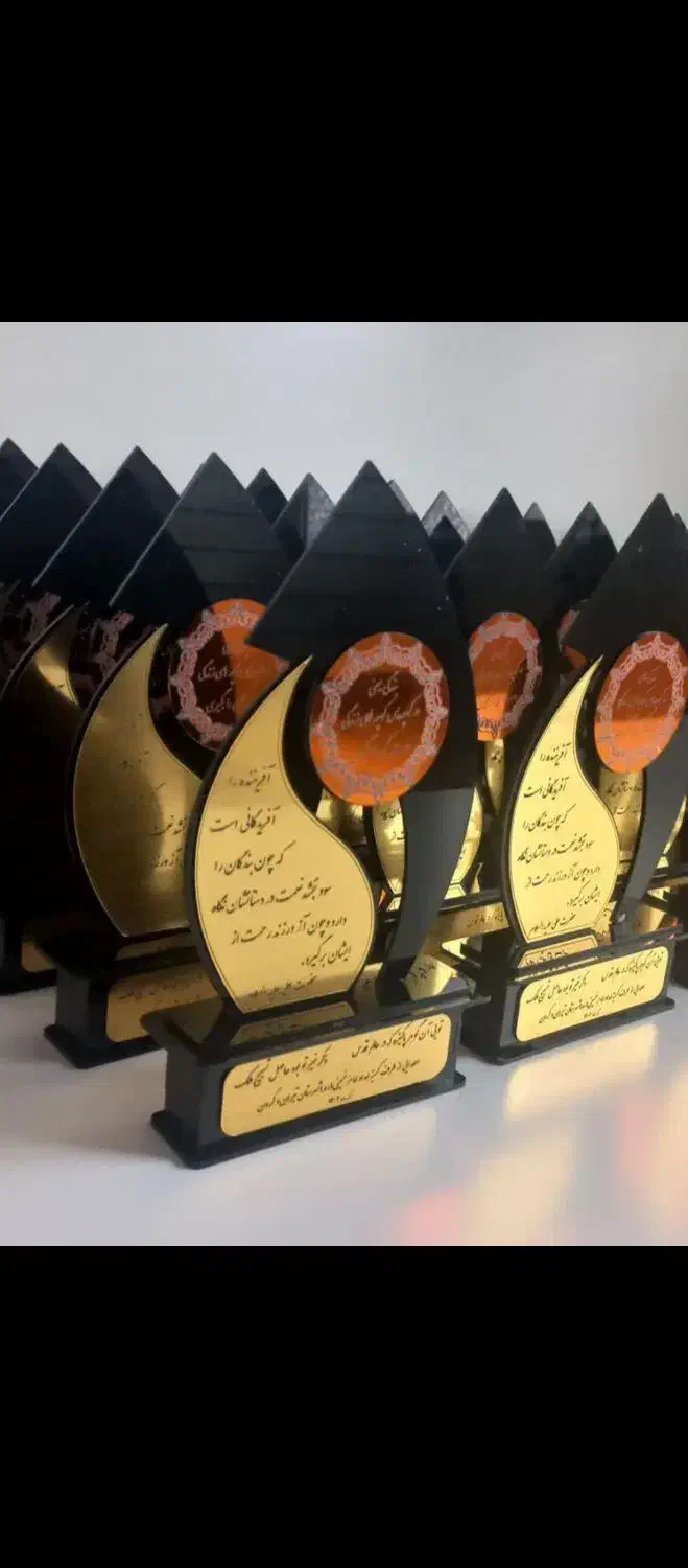 تندیس فارغ التحصیلی برتر|مجسمه، تندیس، ماکت|تهران, آسمان|دیوار