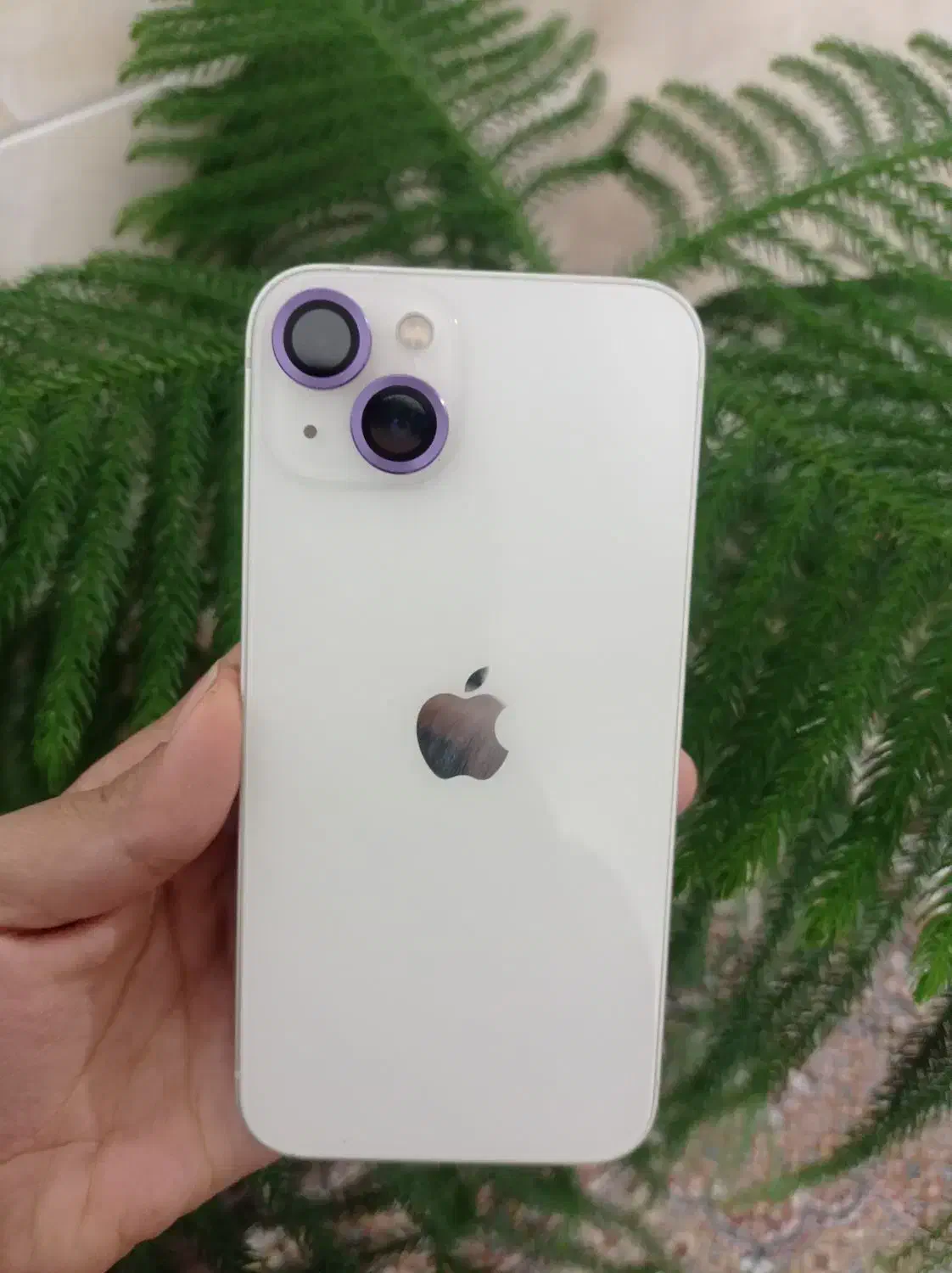 آیفون 13 نرمال|موبایل|مشهد, شهید قربانی|دیوار