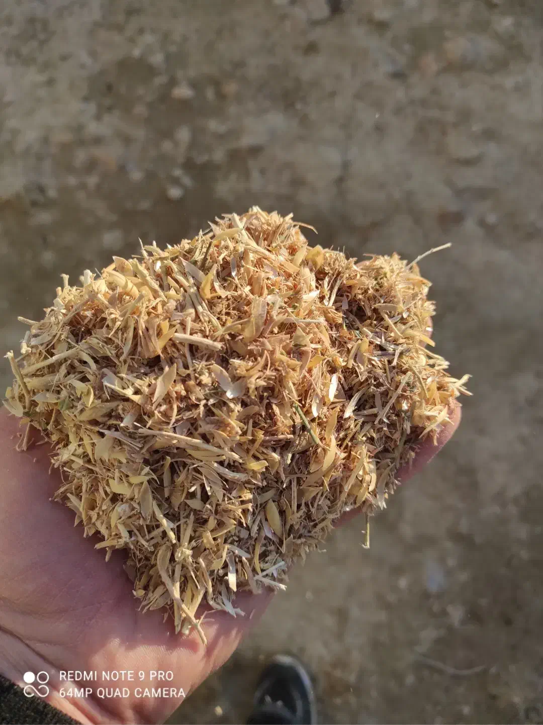 کاه نخود|حیوانات مزرعه|چنگ الماسی, |دیوار