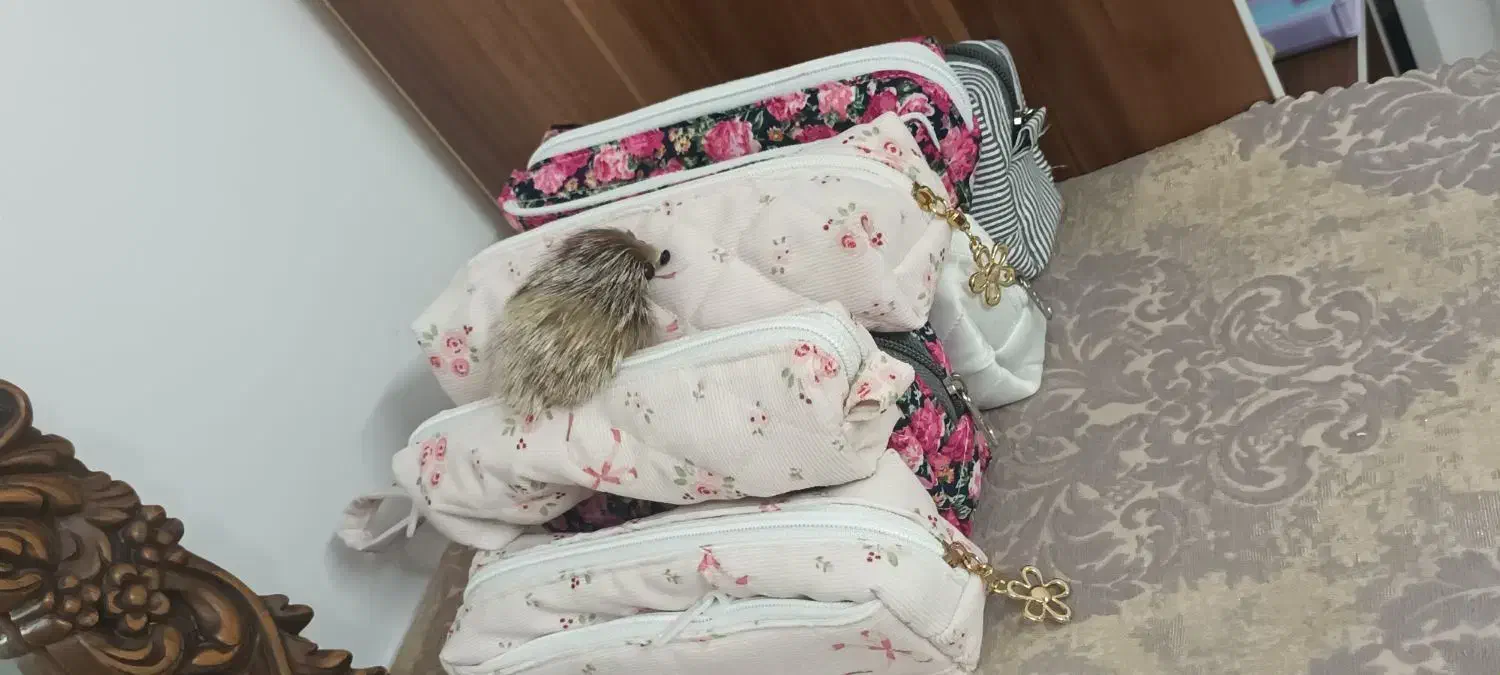 فروش جامدادی وکیف های پینترستی|کیف، کفش، کمربند|قم, نخودی|دیوار