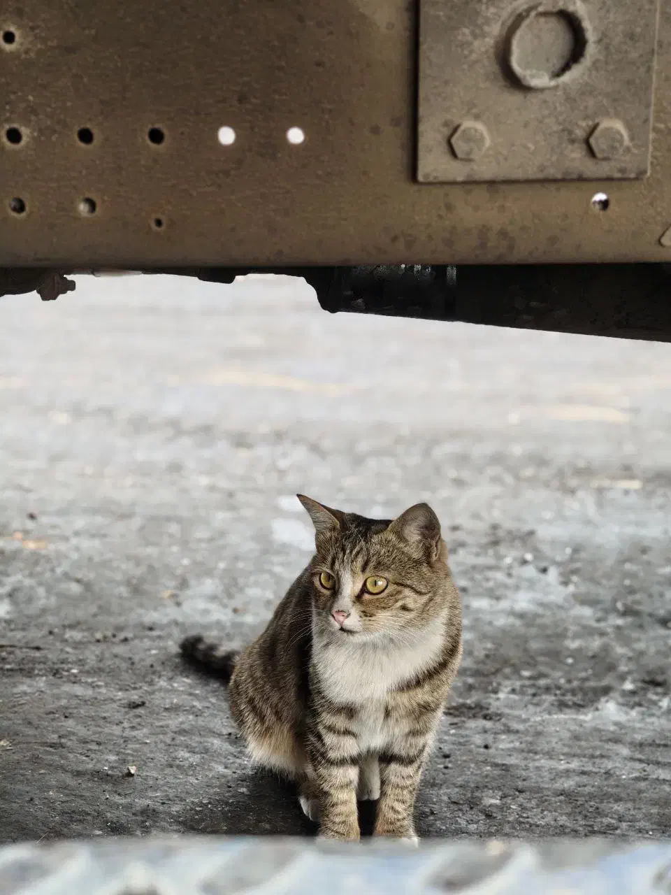 nothing 3A pro|موبایل|شیراز, شیخ روزبهان|دیوار