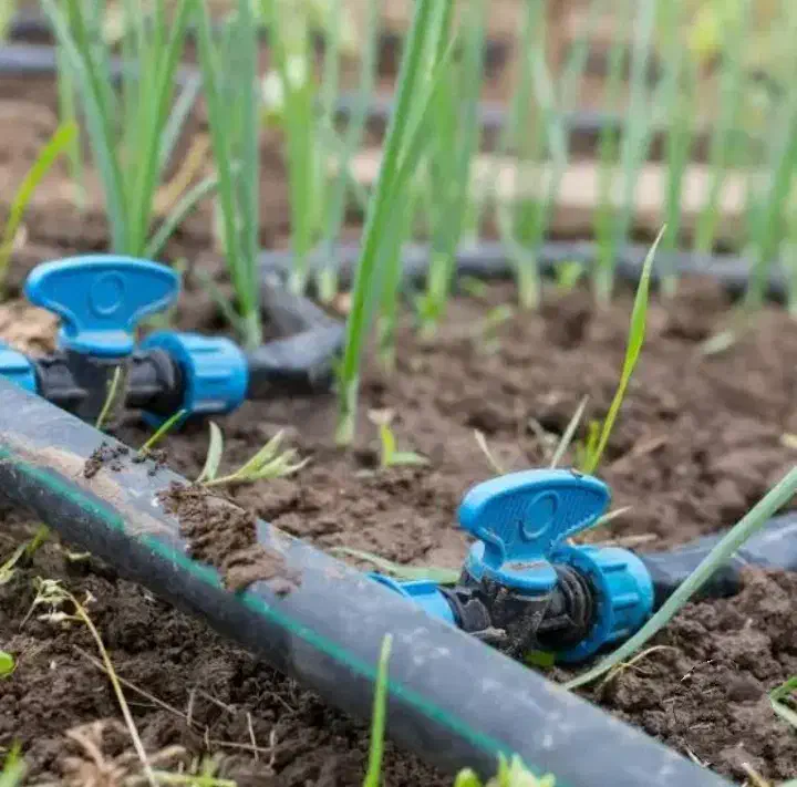 آبیاری قطره ایی تحت فشار|خدمات باغبانی و درختکاری|مراغه, |دیوار