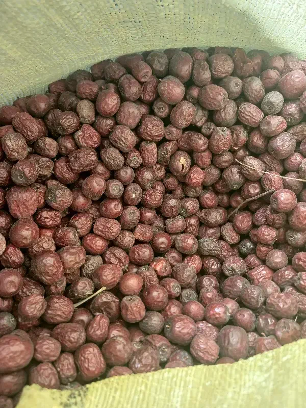 مرکز خرید وفروش عناب محصولات کشاورزی|خدمات باغبانی و درختکاری|بیرجند, |دیوار