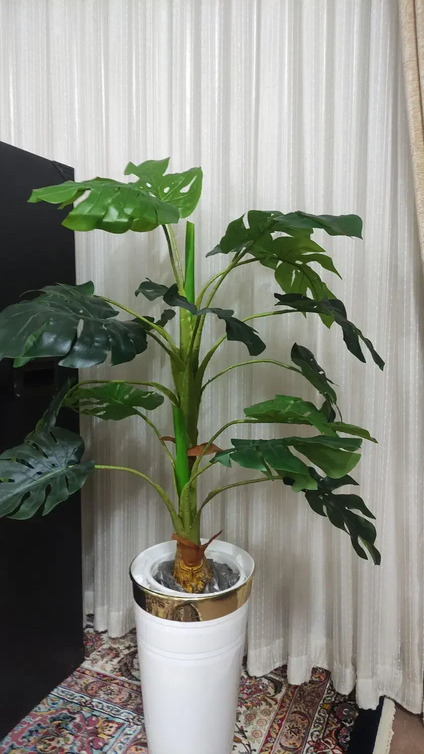 درختچه برگ انجیری مصنوعی|گل مصنوعی|بروجرد, |دیوار