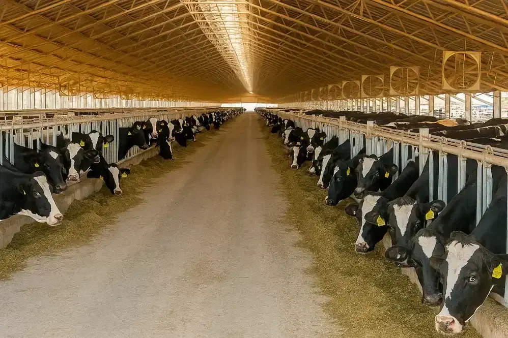 فروش زمین سنددارچسبیده به زمین های بافندگی/۴۳۶۰متر|فروش زمین و ملک کلنگی|اصفهان, شهرک صنعتی جی|دیوار