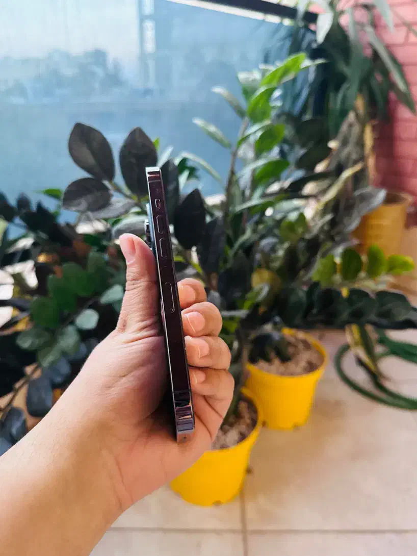 آیفون ۱۴ پرو رجیستر شده دو سیم کارت|موبایل|کرمان, |دیوار