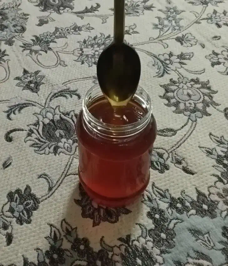 عسل گشنیز ( بهاره ) 100 درصد طبیعی|خوردنی و آشامیدنی|قم, مسجد امام حسن|دیوار