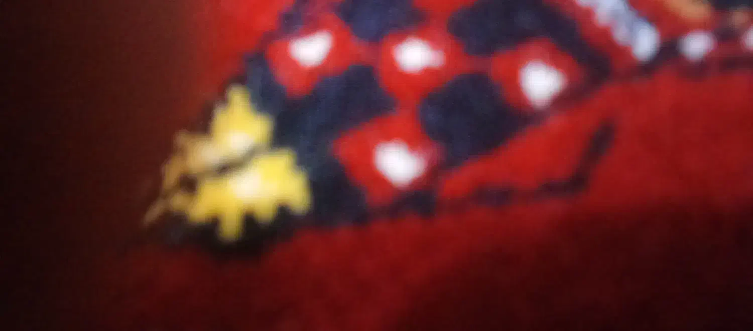 خریدار وام ازدواج فرزند آوری و... بطور نقد|استخدام اداری و مدیریت|گنبد کاووس, |دیوار