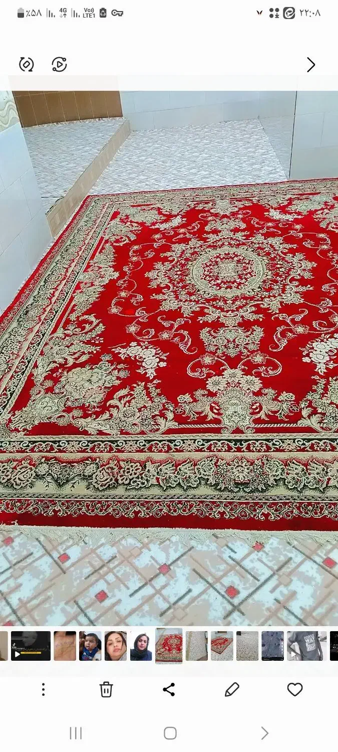 قالی کار کرده|فرش|بندر ماهشهر, |دیوار