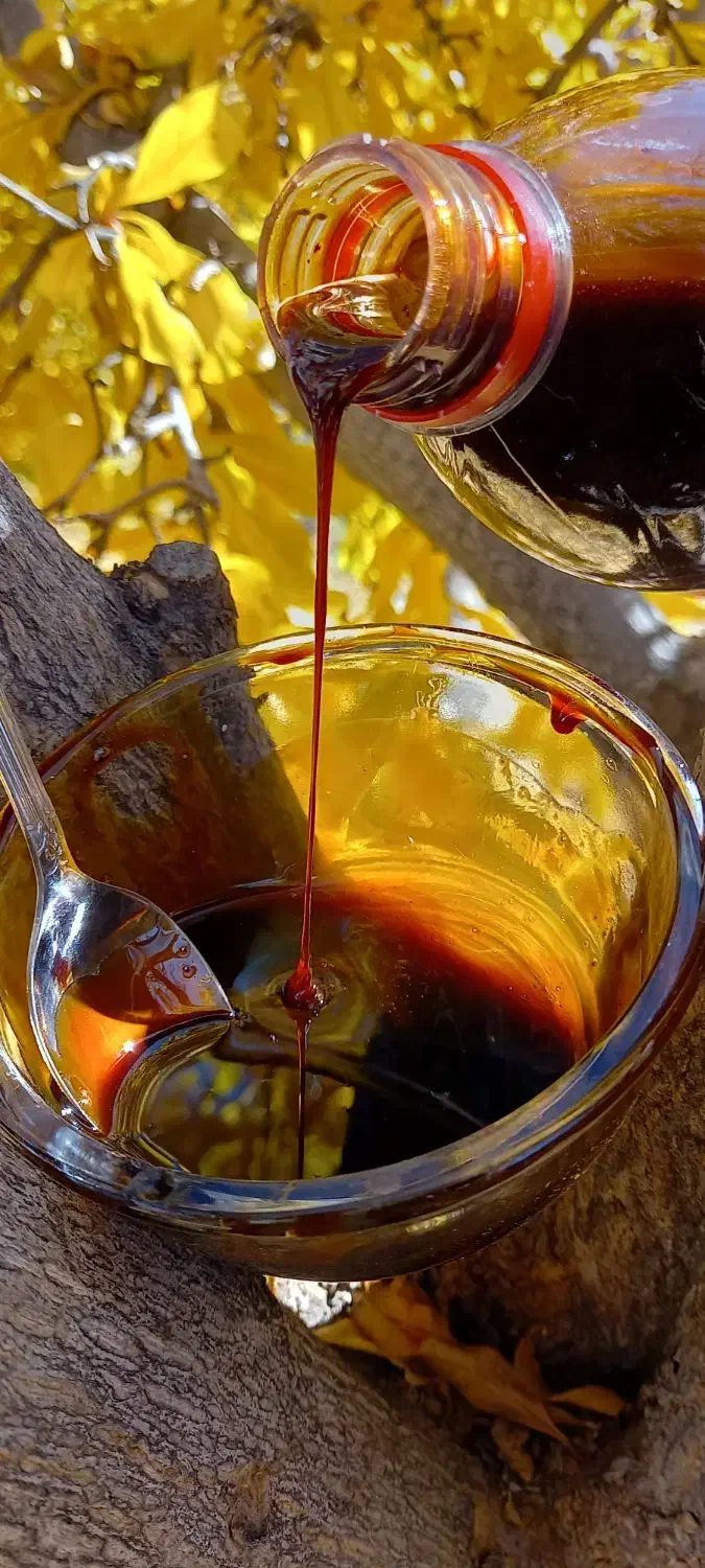 فروش|خوردنی و آشامیدنی|استهبان, |دیوار