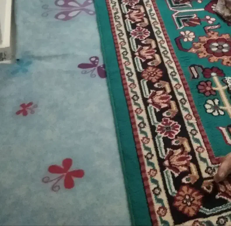 گلیم فرش|فرش|قروه, |دیوار