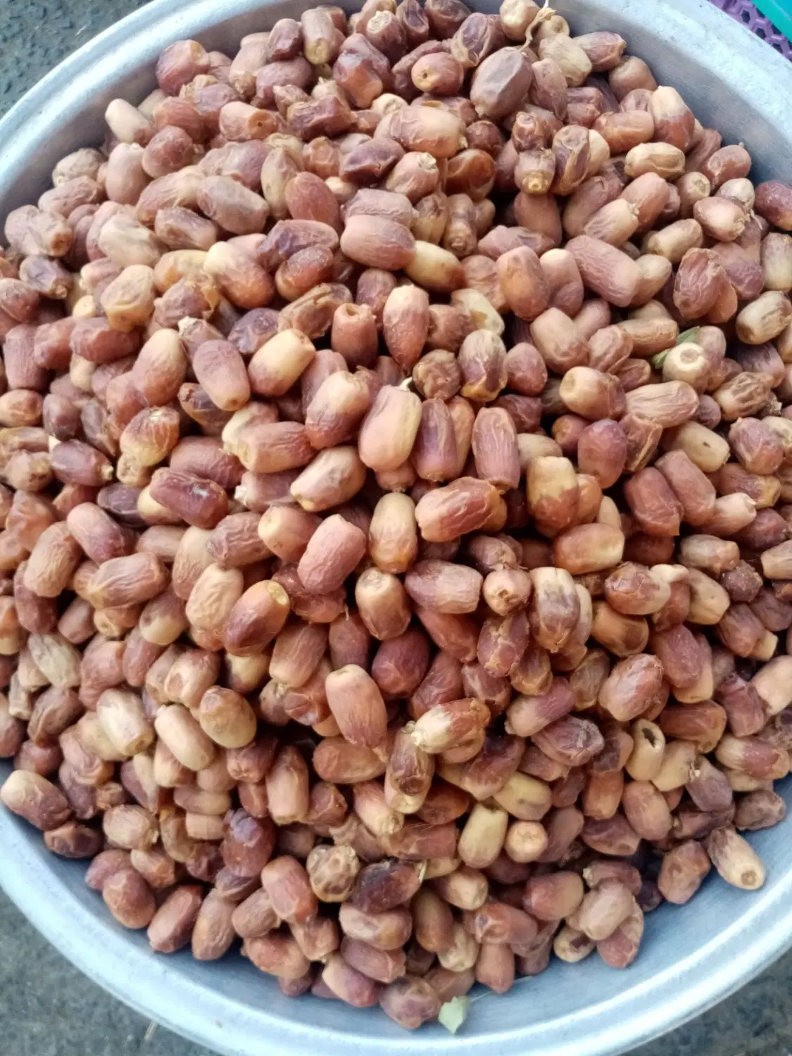 خرما|خوردنی و آشامیدنی|سنندج, |دیوار