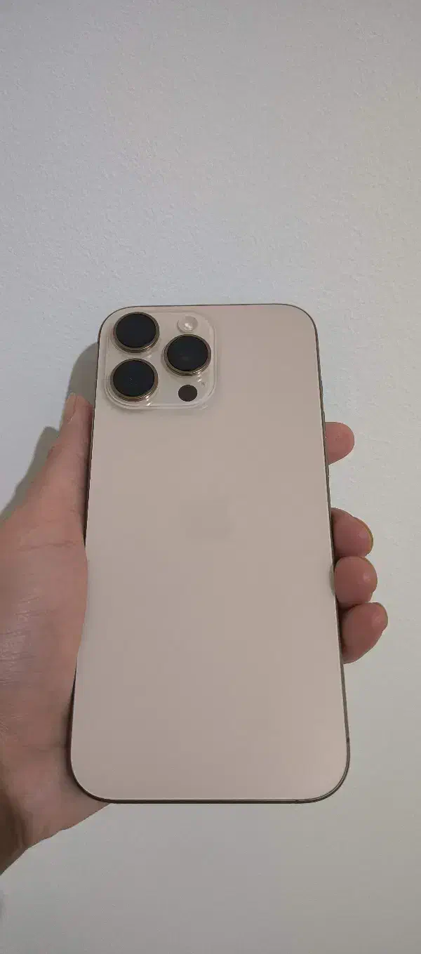 16پرومکس256باگارانتیZAA|موبایل|مشهد, آزادشهر|دیوار