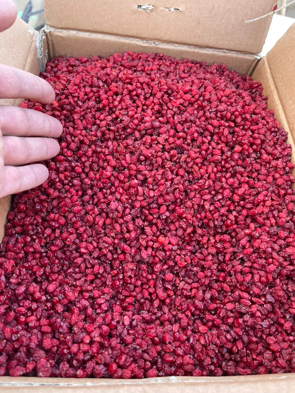 فروش زعفران و زرشک اصل قائنات|خوردنی و آشامیدنی|تهران, هاشمآباد|دیوار
