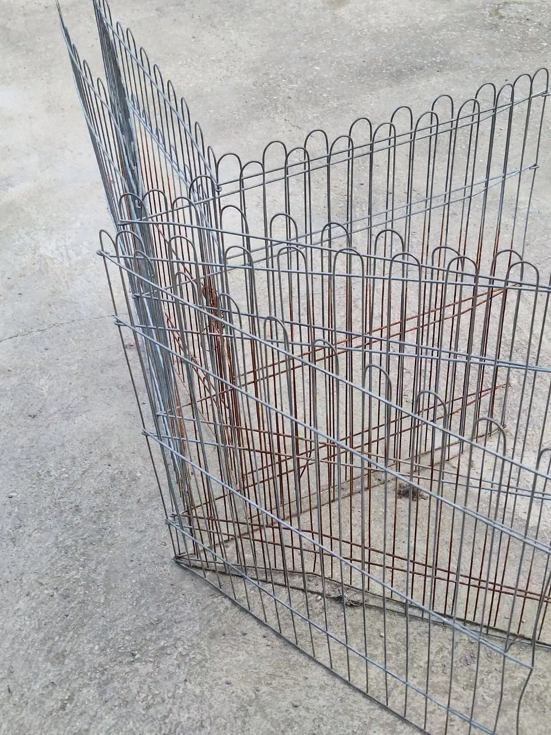 پارک سگ و گربه|لوازم جانبی حیوانات|رامسر, |دیوار