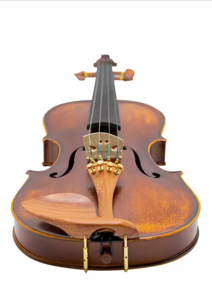 ویولن فندر رزوود سایز ۴/۴ جعبه مستطیل|ویولن|تهران, پونک|دیوار