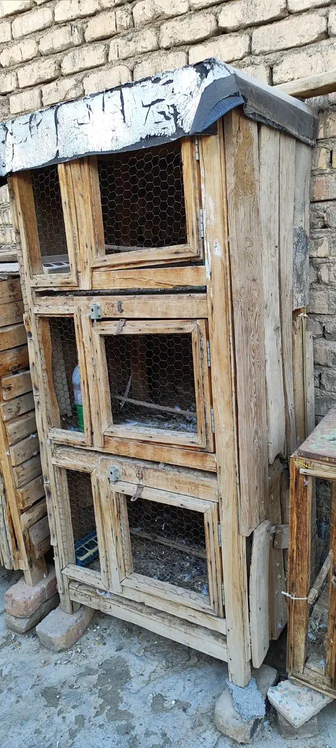 قفس جفت کن|لوازم جانبی حیوانات|گلپایگان, |دیوار