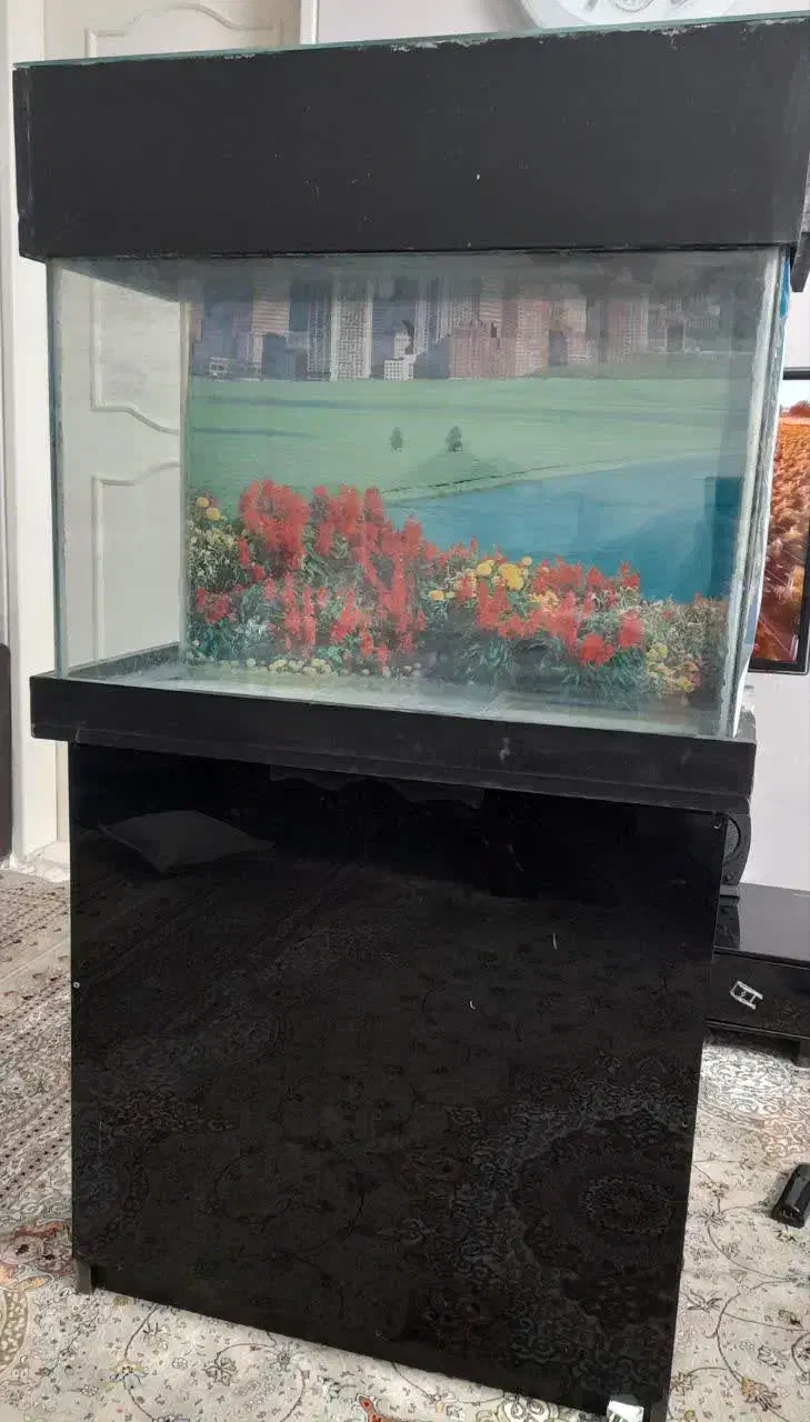 آکواریوم|ماهی|تهران, جی|دیوار