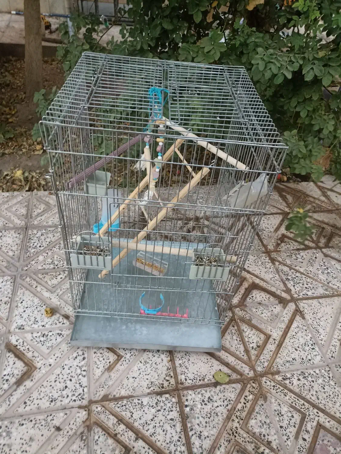 قفس پرنده|لوازم جانبی حیوانات|کرمان, |دیوار