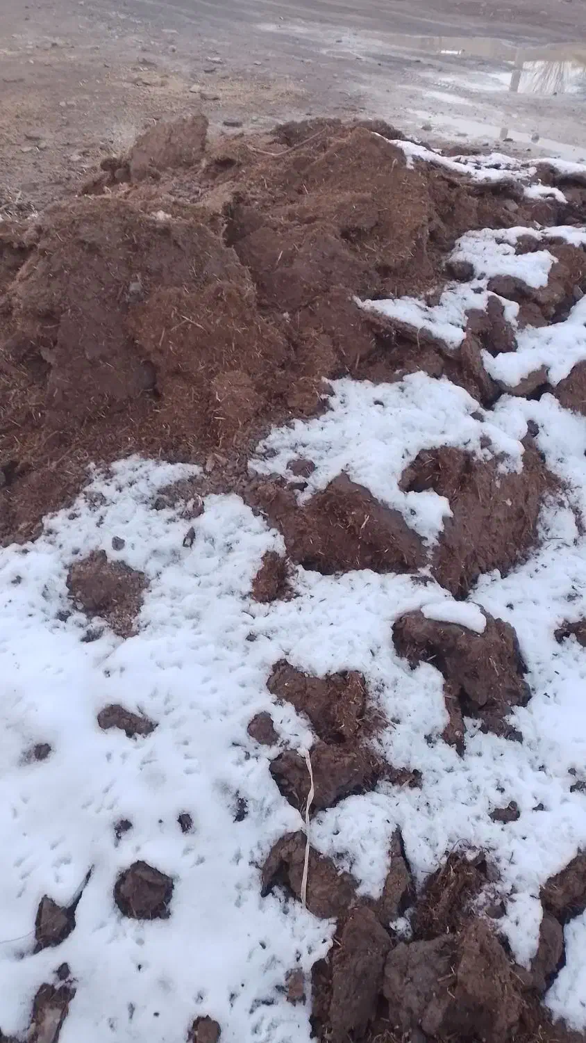 کودحیوانی|گل و گیاه طبیعی|لالجین, |دیوار