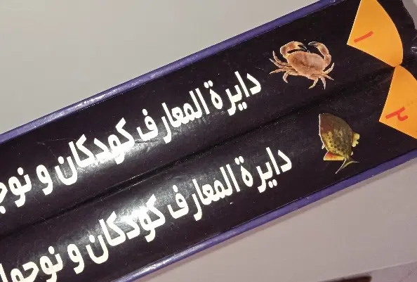 کتاب|کتاب و مجله آموزشی|رشت, فلسطین|دیوار