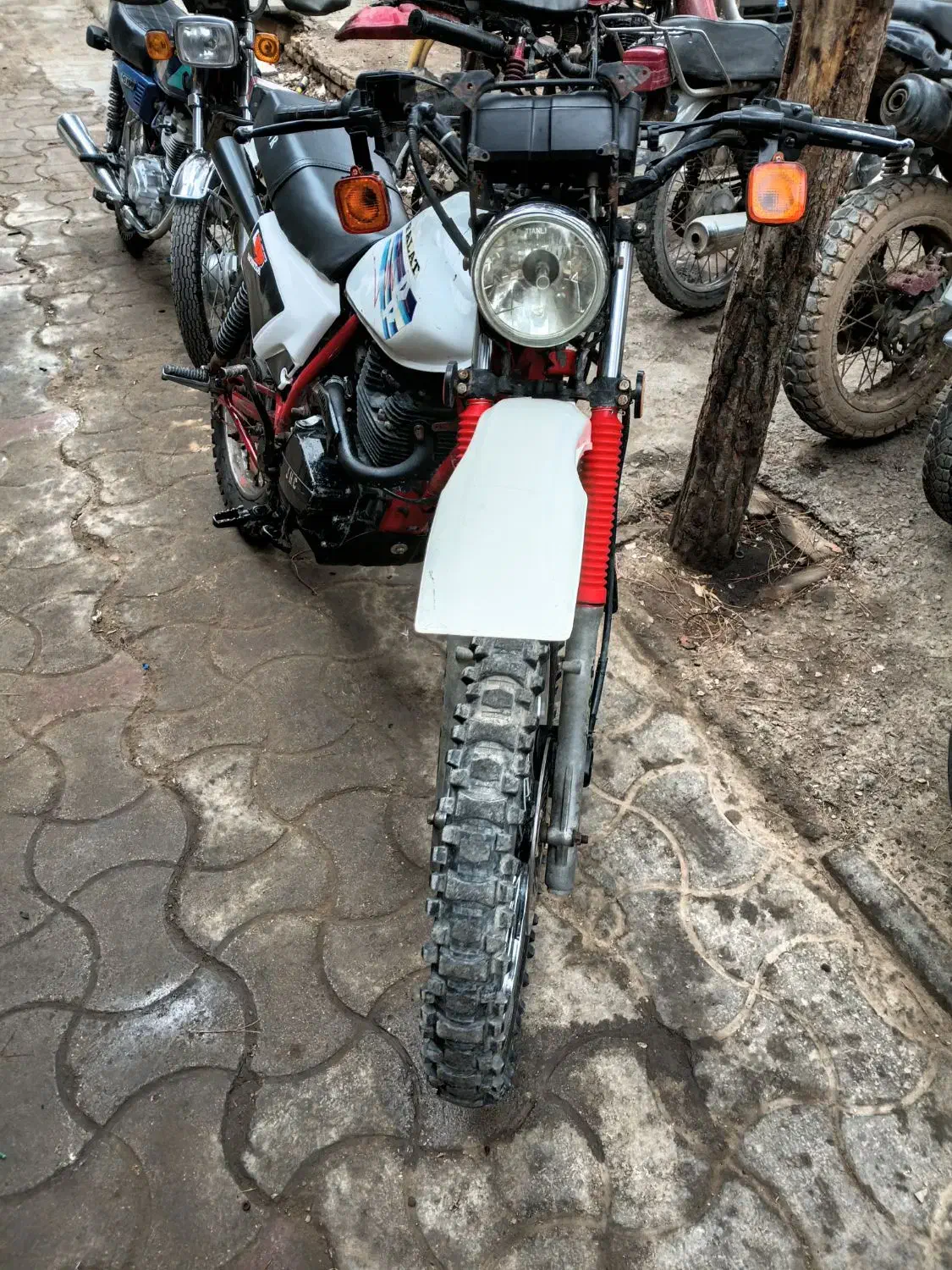 ترل‌ فلات‌ درحد‌|موتورسیکلت|سنخواست, |دیوار