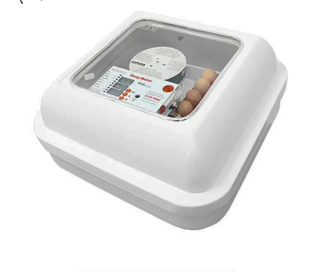 جوجه کشی ایزی باتور  ۱|لوازم جانبی حیوانات|یاسوج, |دیوار