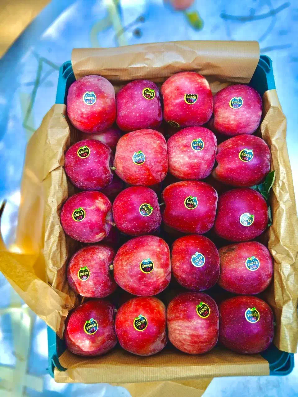 سردخانه است|خوردنی و آشامیدنی|قزوین, |دیوار