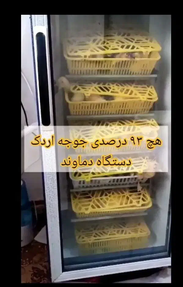 کسب درآمد عالی بادستگاه، جوجهکشی و پرورش طیور|ماشینآلات صنعتی|کرمانشاه, |دیوار