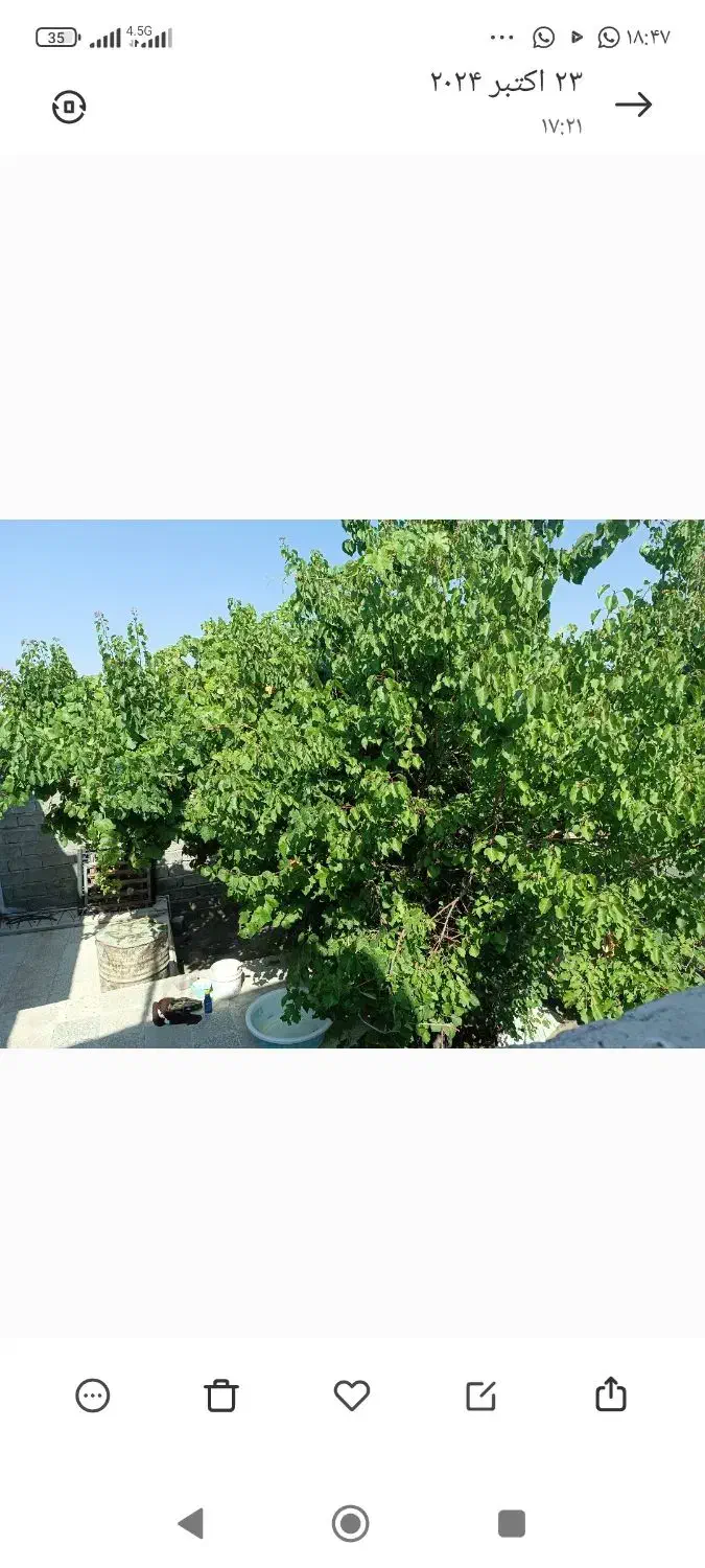 واحد ویلایی 35کیلومتری جیرفت جبالبارز محمدآباد|فروش خانه و ویلا|جبالبارز, |دیوار