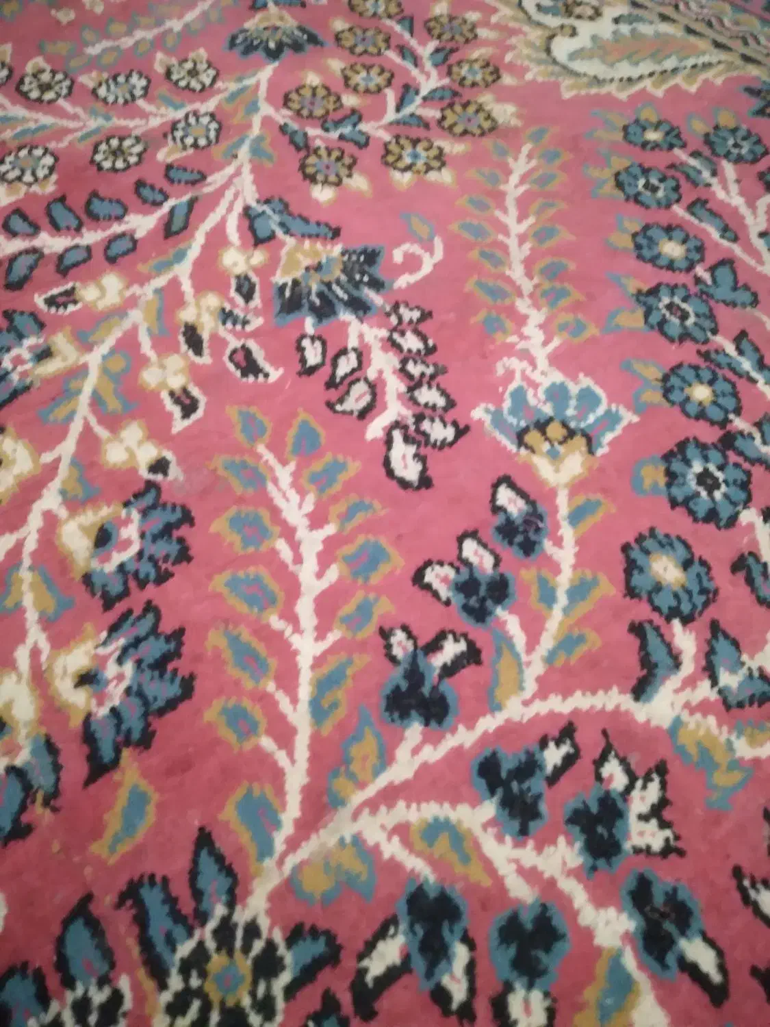 جو دارم محلی مال زابل۸من|خوردنی و آشامیدنی|هیرمند, |دیوار