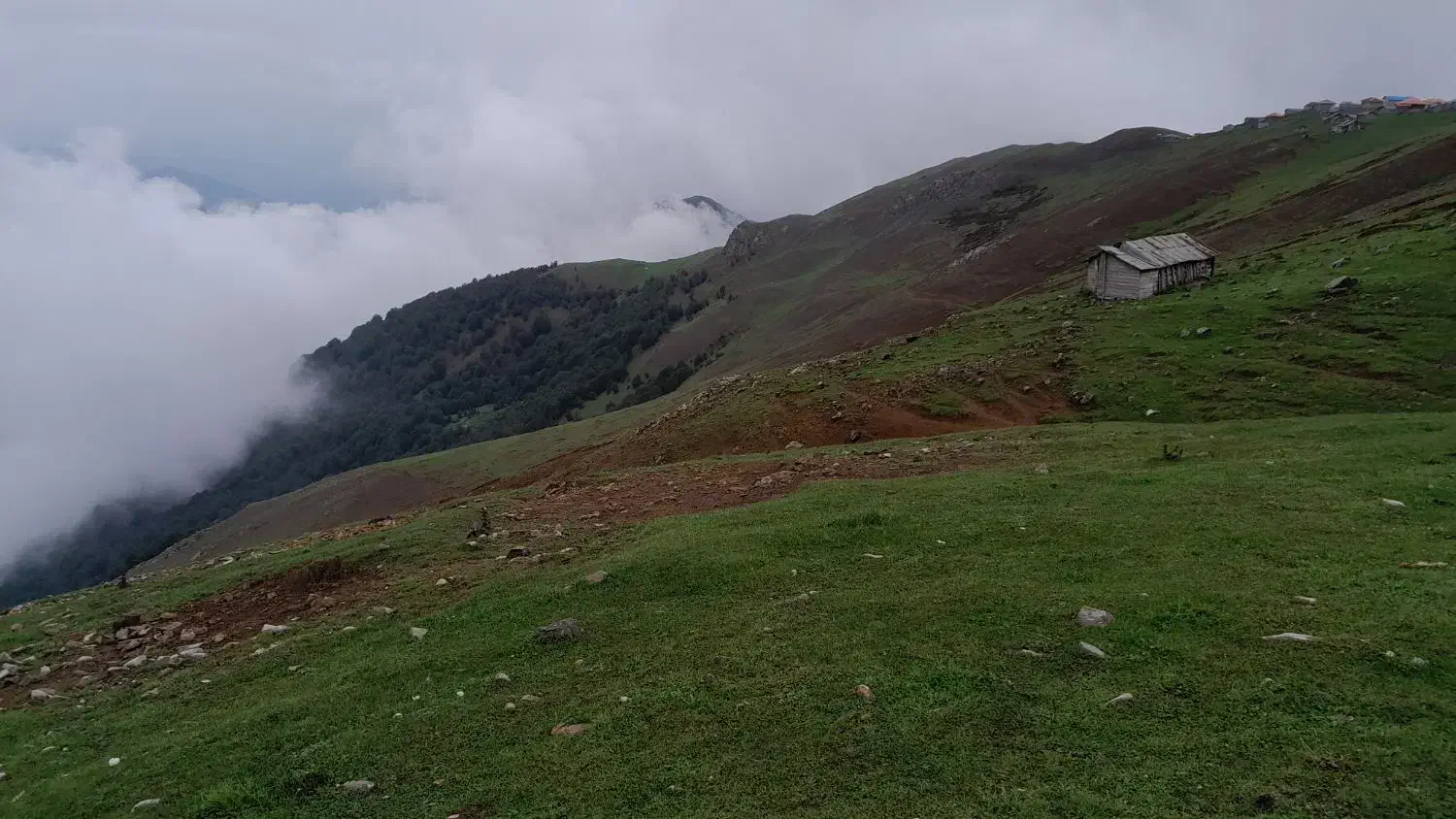 استخدام چوپان|استخدام سرایداری و نظافت|ماسال, |دیوار