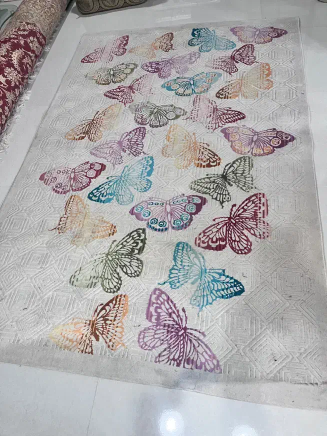 گلیم|گلیم، جاجیم، گبه|بندر انزلی, نوغان|دیوار