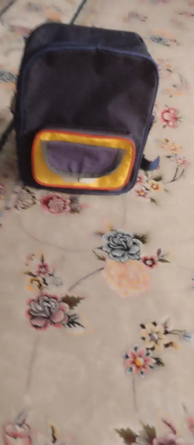 کیف|کیف، کفش، کمربند|نیشابور, شهرک اندیشه|دیوار