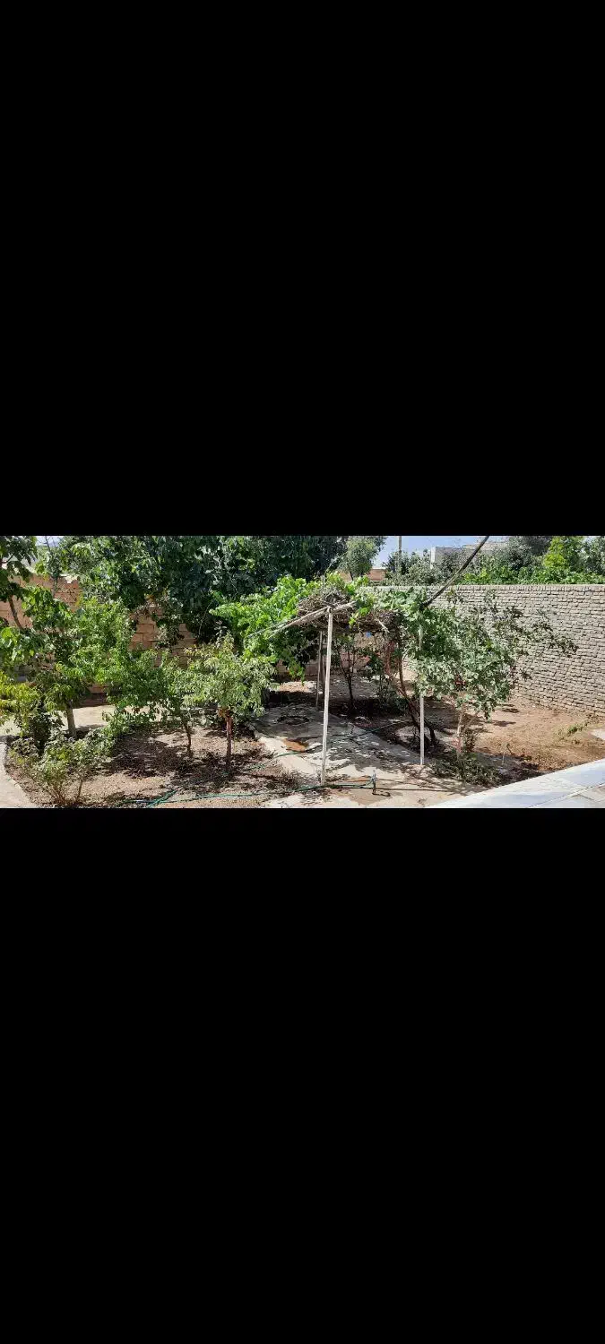 منزل اجاره در علویجه|اجارهٔ خانه و ویلا|دهق, |دیوار