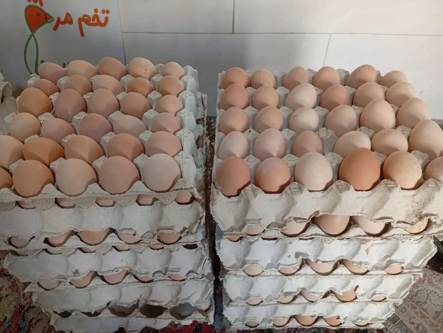 تخم مرغ محلی درشت و تازه|خوردنی و آشامیدنی|تهران, هفت چنار|دیوار