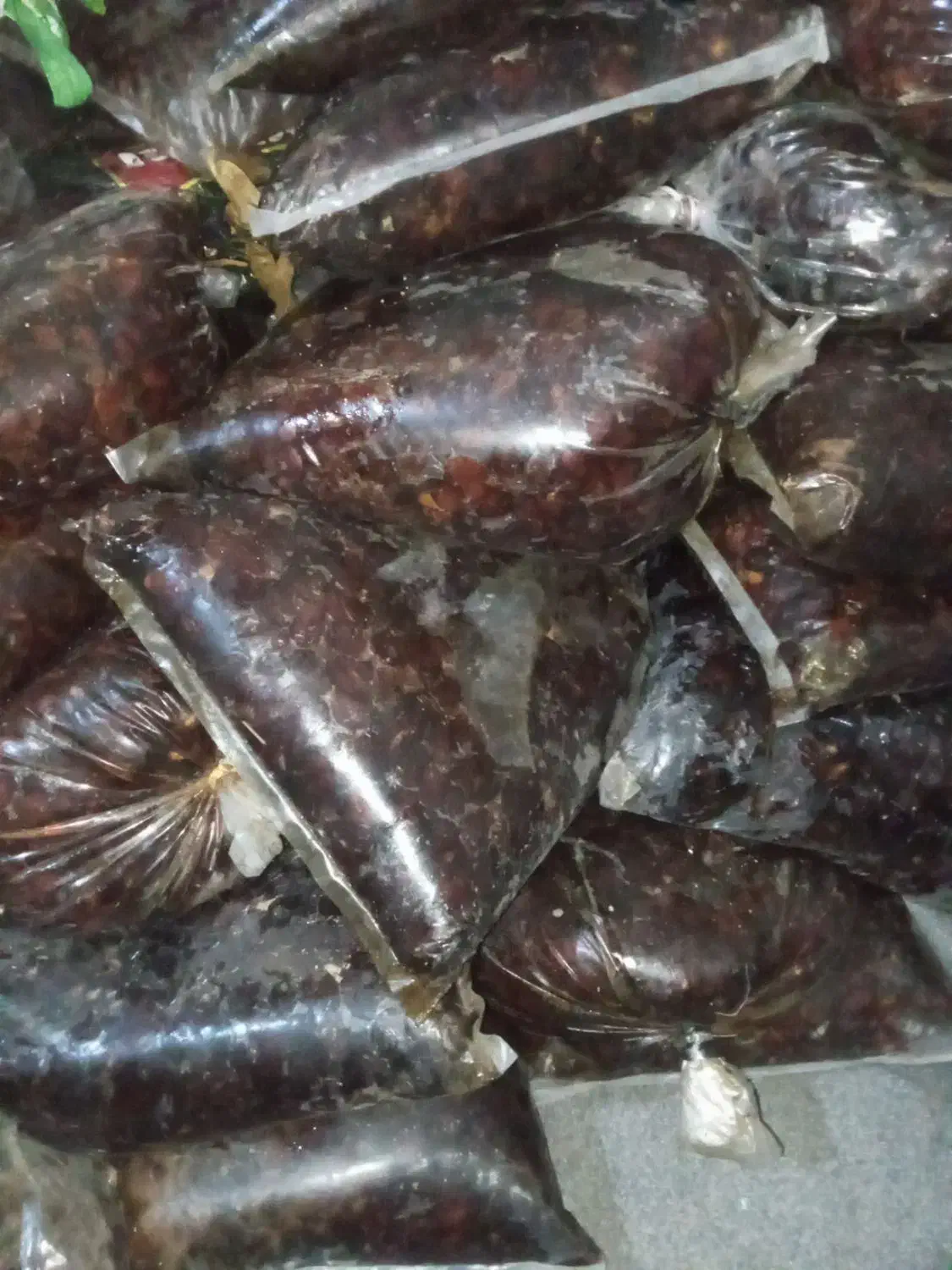 خرما|خوردنی و آشامیدنی|زاهدان, |دیوار