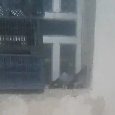 کبوتر گمشده|حیوانات|کلاله, |دیوار