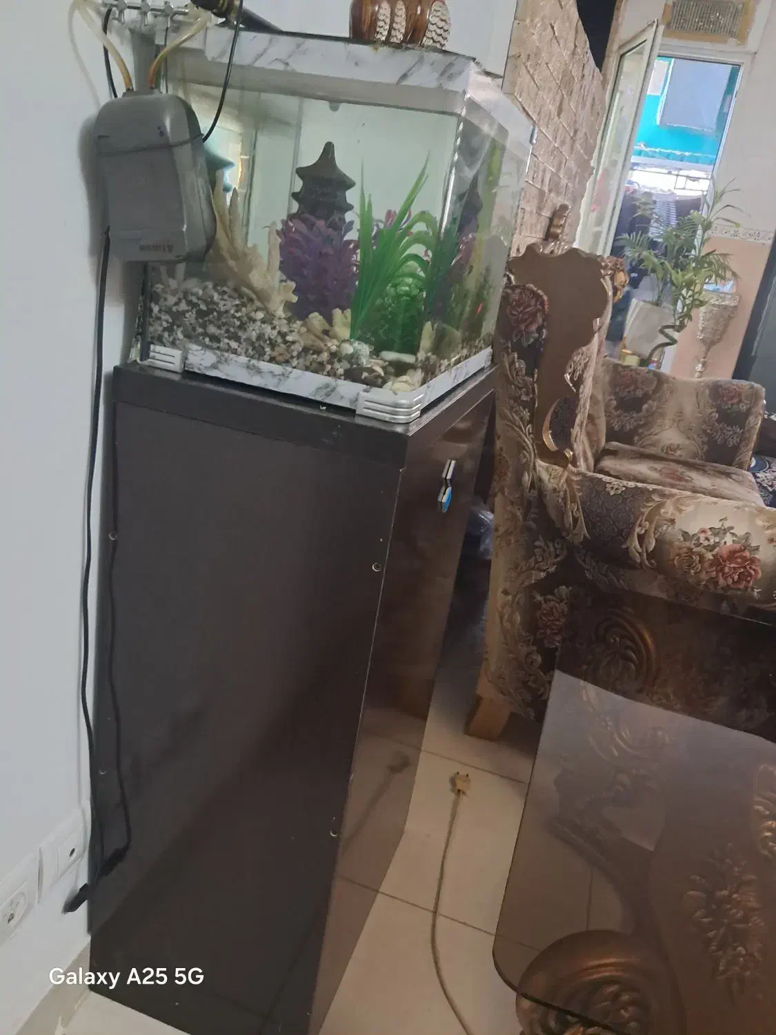 آکواریوم شیشه خم شرکتی|ماهی|مهاجران, |دیوار