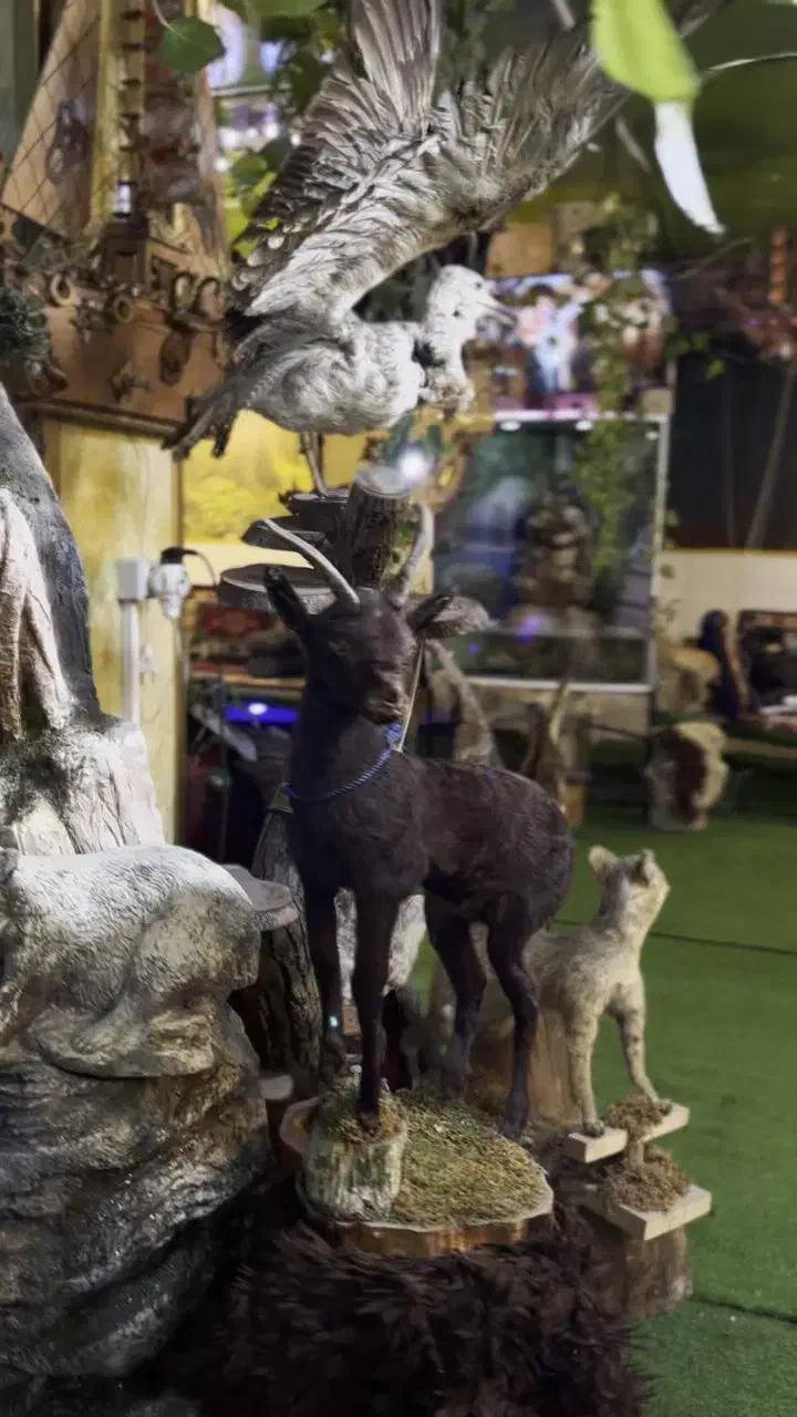 واگذاری قهوخانه شراکت هم قبول میکنم باماشین میزتم|اجارهٔ مغازه و غرفه|قم, آذر (نکویی)|دیوار