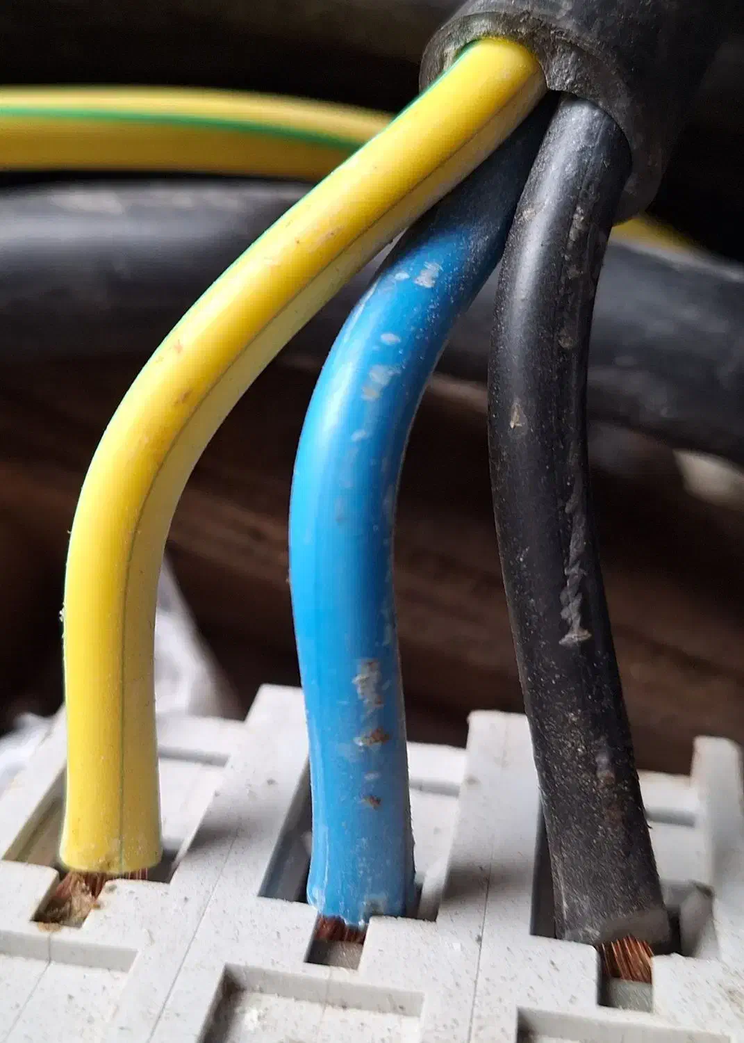 کابل مسی افشان ۱۰×۳      و    ۱/۵×۷|مصالح و تجهیزات ساختمان|نمین, |دیوار