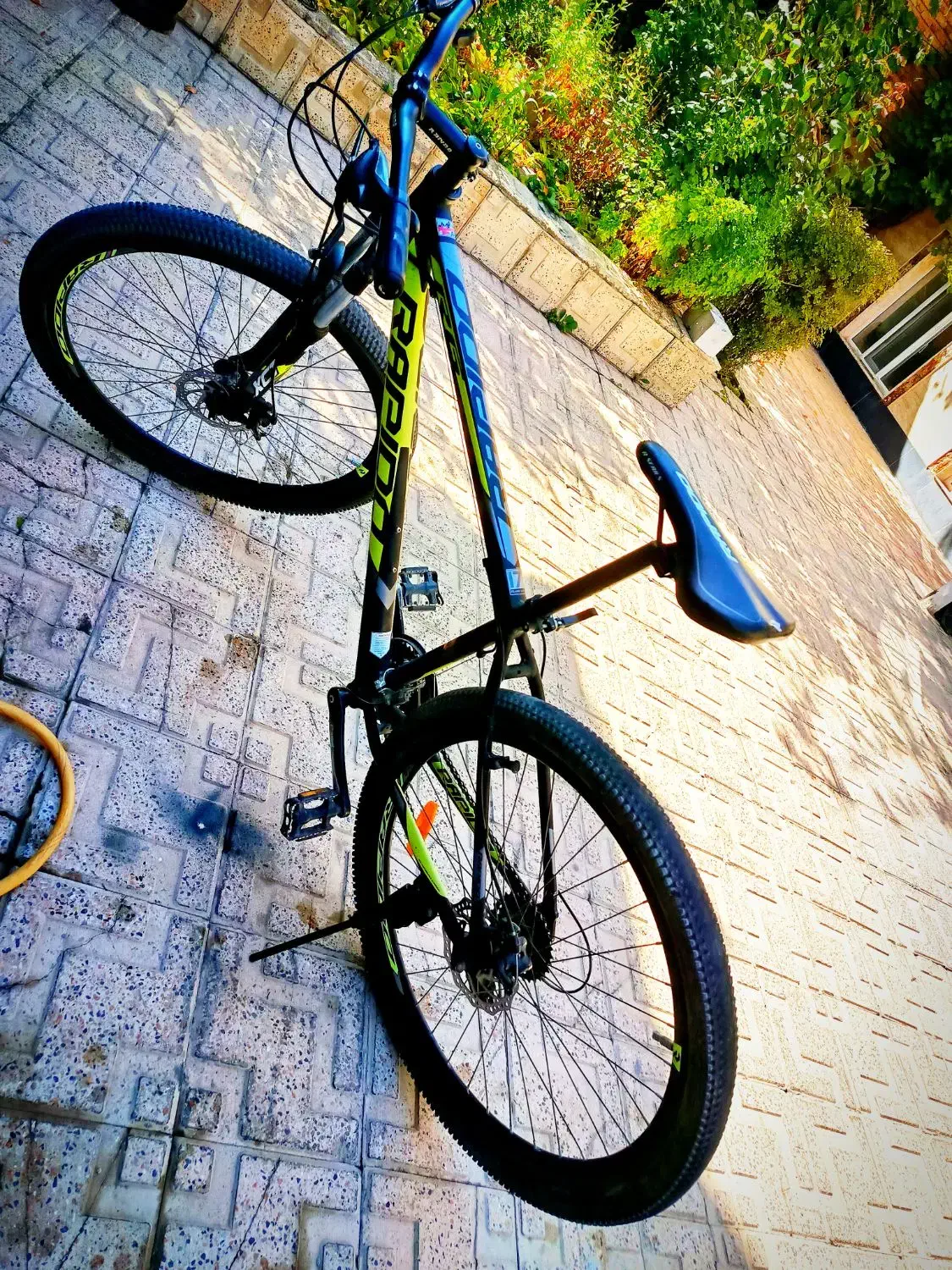 دوچرخه راپیدو سایز ۲۹|دوچرخه، اسکیت، اسکوتر|مشگین شهر, |دیوار