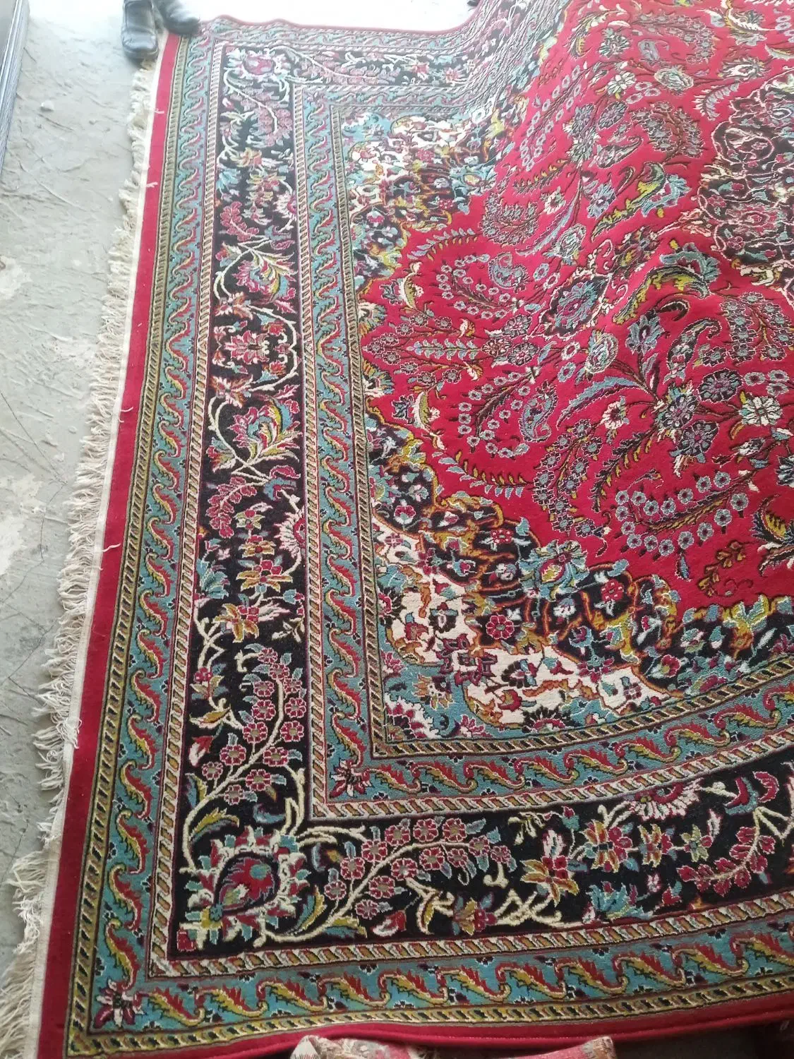 فرش ۱۲ متری|فرش|بیرجند, |دیوار