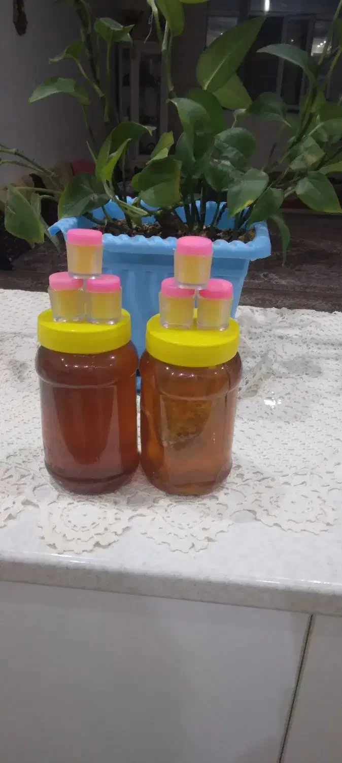 عسل ۱۰۰٪طبیعی ارگانیک|خوردنی و آشامیدنی|بیرجند, |دیوار