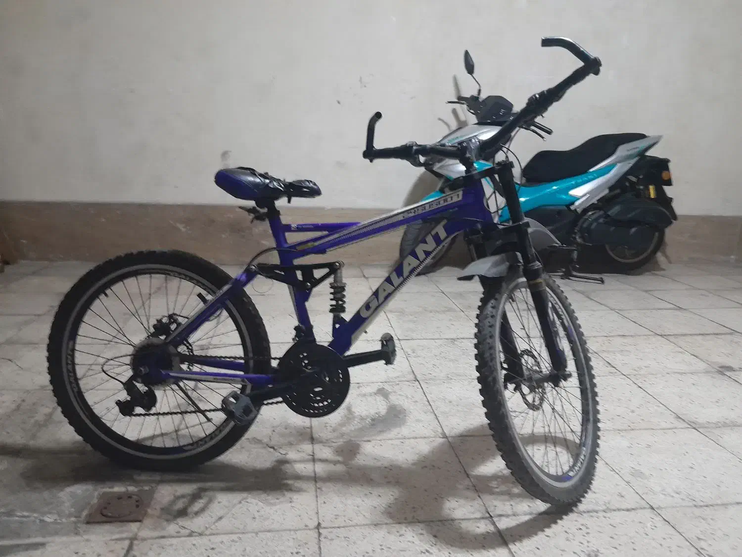 دوچرخه‌المپیک‌ژاپنی‌اصلی|دوچرخه، اسکیت، اسکوتر|قدس, شهر‌قدس|دیوار