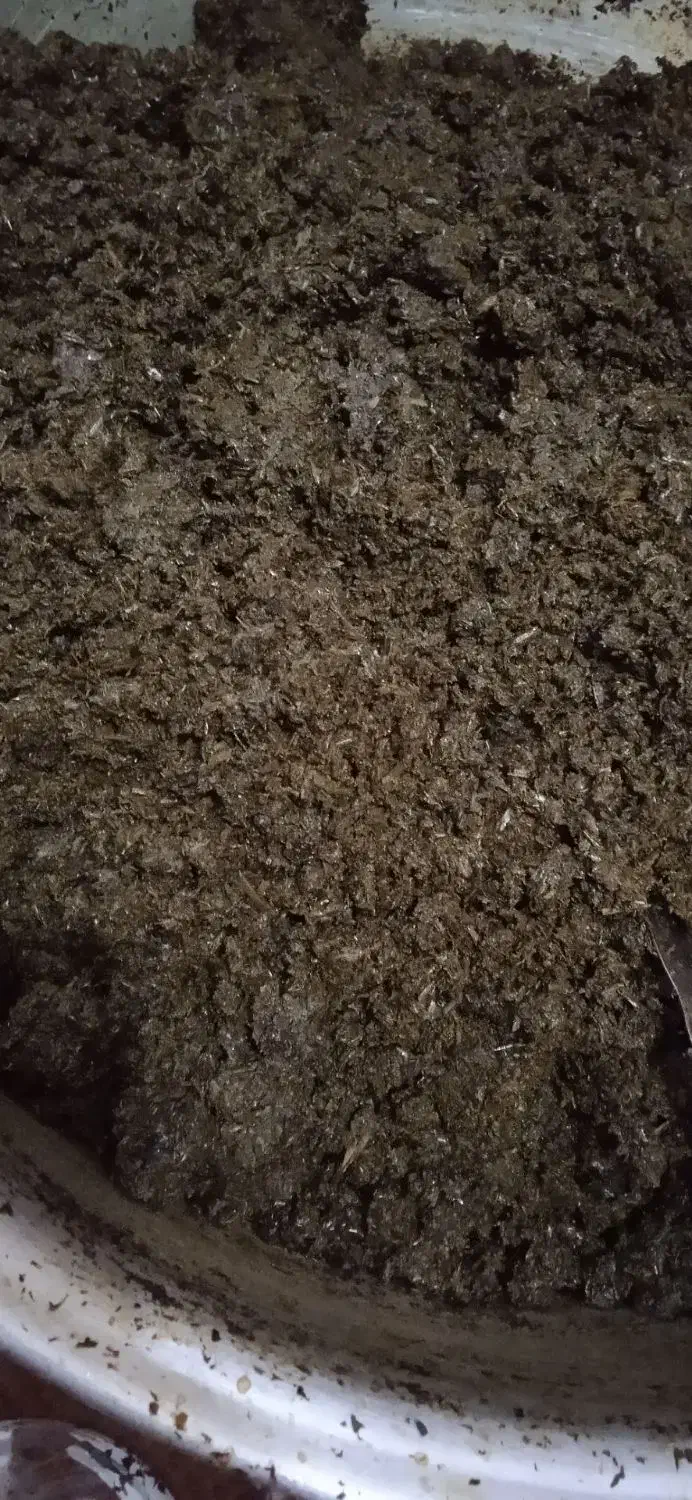 سبزی خورشتی آبپز شده،خام،سرخ شده|خوردنی و آشامیدنی|هرسین, |دیوار