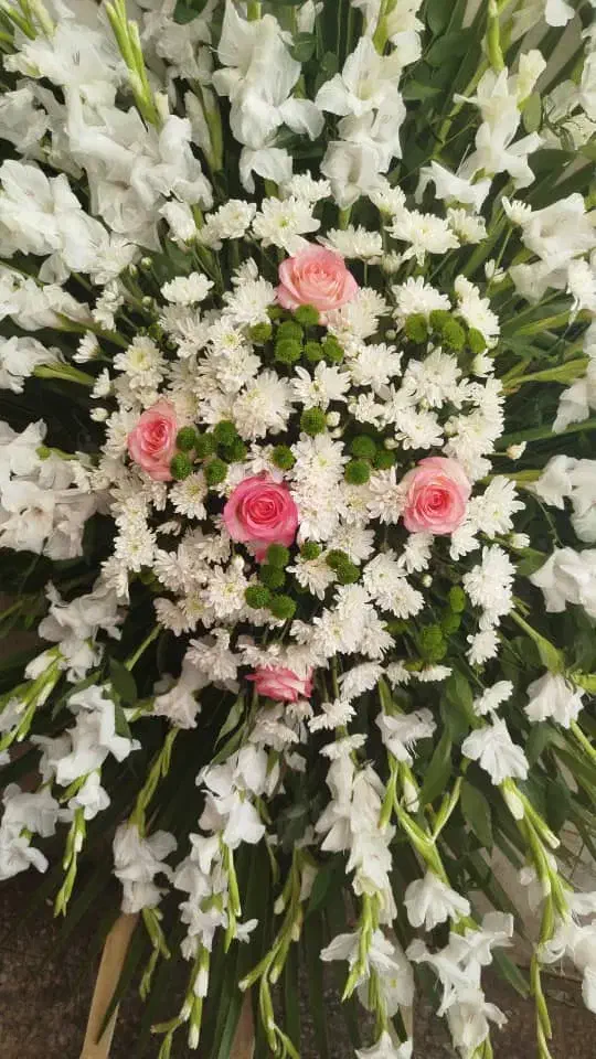 گلفروشی|گل و گیاه طبیعی|یزد, |دیوار